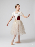 Romantic Peasant Style Tutu Dress (Size Child Large)